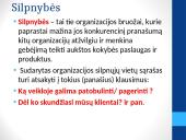 Organizacijos SSGG ir PEST (PESET) analizė. Vizija, misija, tikslai 9 puslapis