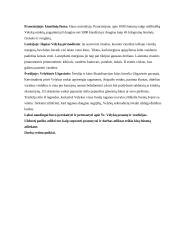 Šv. Velykų šventimo tradicijos 4 puslapis