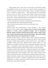 Socialinio darbo patirtis ugdymo institucijose Norvegijoje 4 puslapis