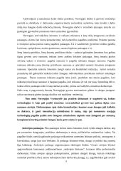 Socialinio darbo patirtis ugdymo institucijose Norvegijoje 6 puslapis