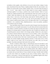 Jauna šeima: mano išgyvenimai 7 puslapis