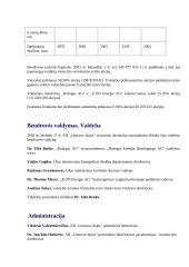 Finansinių rodiklių analizė: AB "Lietuvos dujos" 3 puslapis