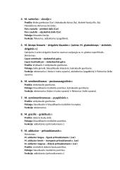 Raumenys. Konspektas 17 puslapis