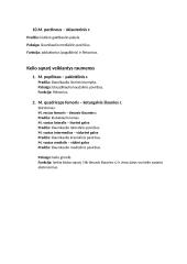 Raumenys. Konspektas 18 puslapis