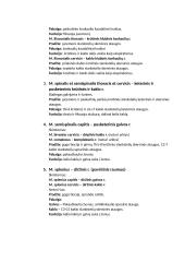 Raumenys. Konspektas 4 puslapis