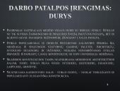 Ergonominė darbo vieta 12 puslapis