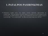 Ergonominė darbo vieta 3 puslapis