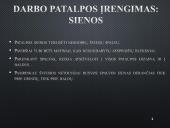 Ergonominė darbo vieta 7 puslapis