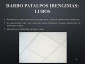 Ergonominė darbo vieta 8 puslapis