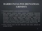 Ergonominė darbo vieta 9 puslapis