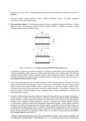 Ultragarso bangų greičio ore nustatymas  2 puslapis