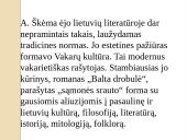 Skaidrės. A. Škėma 2 puslapis