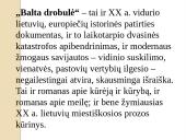 Skaidrės. A. Škėma 3 puslapis