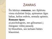 Skaidrės. A. Škėma 4 puslapis