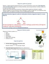 Deguonis. Chemijos konspektas 2 puslapis