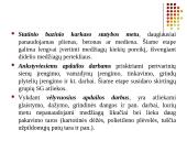 Statybinių atliekų tvarkymas  12 puslapis