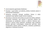 Statybinių atliekų tvarkymas  19 puslapis