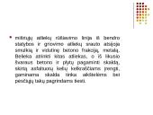 Statybinių atliekų tvarkymas  10 puslapis