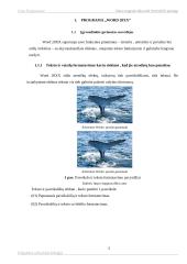 Teksto rengyklės Microsoft Word 20xx apžvalga 4 puslapis