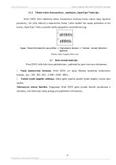 Teksto rengyklės Microsoft Word 20xx apžvalga 5 puslapis