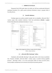 Teksto rengyklės Microsoft Word 20xx apžvalga 9 puslapis