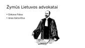 Advokato profesija (skaidrės) 7 puslapis