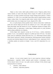 Referatas apie grūdus 6 puslapis