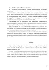 Referatas apie grūdus 7 puslapis