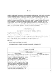 Referatas apie grūdus 8 puslapis
