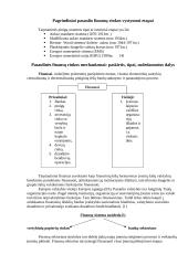 Finansų sistema pasaulyje 2 puslapis