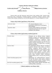 Finansų sistema pasaulyje 4 puslapis