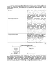 Finansų sistema pasaulyje 5 puslapis