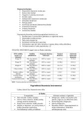 Finansų sistema pasaulyje 6 puslapis