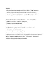 Žmogaus kančia lietuvių literatūroje. Kalbėjimas su planu 4 puslapis