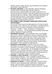 Vinco Mykolaičio Putino ir jo romano konspektas 2 puslapis