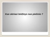Braižyba 13 puslapis