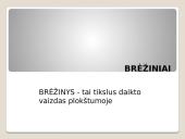 Braižyba 3 puslapis