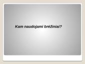 Braižyba 4 puslapis