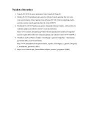 Fotografo Mariaus Čepulio darbų recenzija  10 puslapis