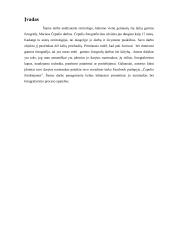 Fotografo Mariaus Čepulio darbų recenzija  3 puslapis