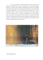 Fotografo Mariaus Čepulio darbų recenzija  6 puslapis