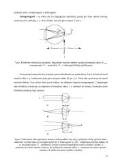 Regos fizika (savarankiškas darbas) 10 puslapis