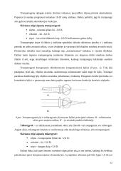 Regos fizika (savarankiškas darbas) 11 puslapis