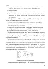 Regos fizika (savarankiškas darbas) 13 puslapis