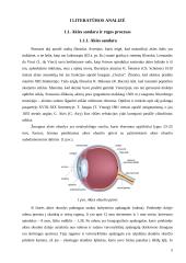 Regos fizika (savarankiškas darbas) 4 puslapis