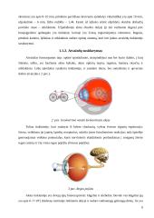 Regos fizika (savarankiškas darbas) 5 puslapis