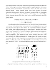 Regos fizika (savarankiškas darbas) 6 puslapis