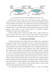 Regos fizika (savarankiškas darbas) 9 puslapis