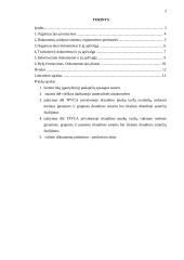 Funkcionuojantys dokumentai ir jų apžvalga UADB "Baltikums konsultacijos" 2 puslapis