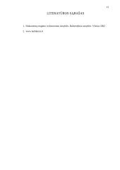 Funkcionuojantys dokumentai ir jų apžvalga UADB "Baltikums konsultacijos" 13 puslapis